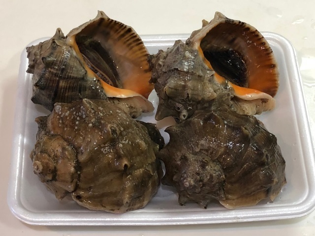 1アカニシ.jpg