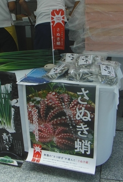 1タコ煮干し (1).jpg