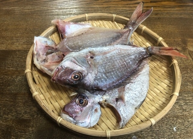 1マダイ干物1.jpg