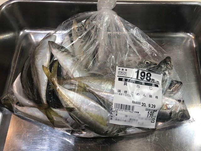 1小アジ圧縮.jpg