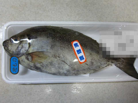アイゴの塩焼き うどん県のおさかな情報