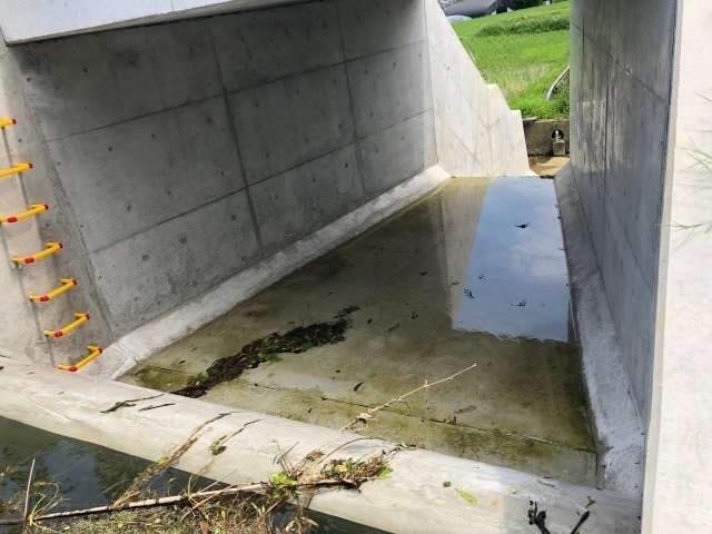 2洪水吐.jpg