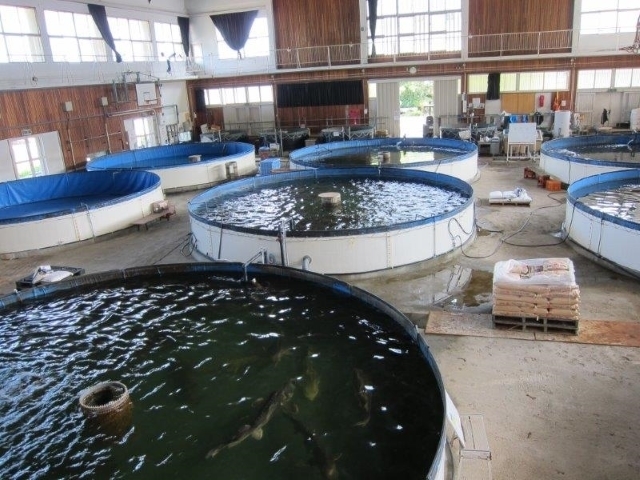2_養殖水槽.jpg