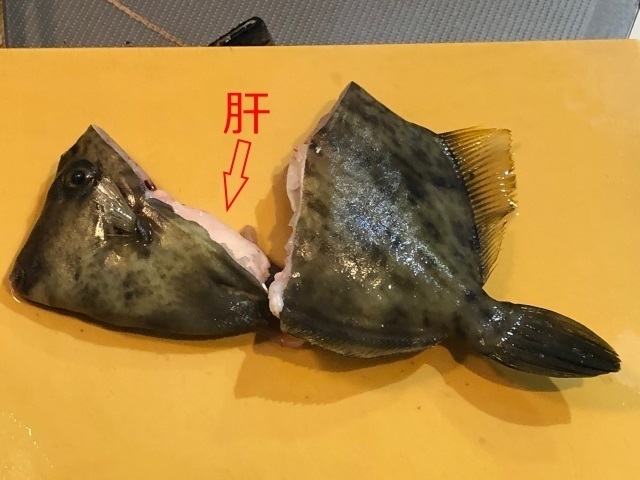3.引きちぎれましたjpg.jpg