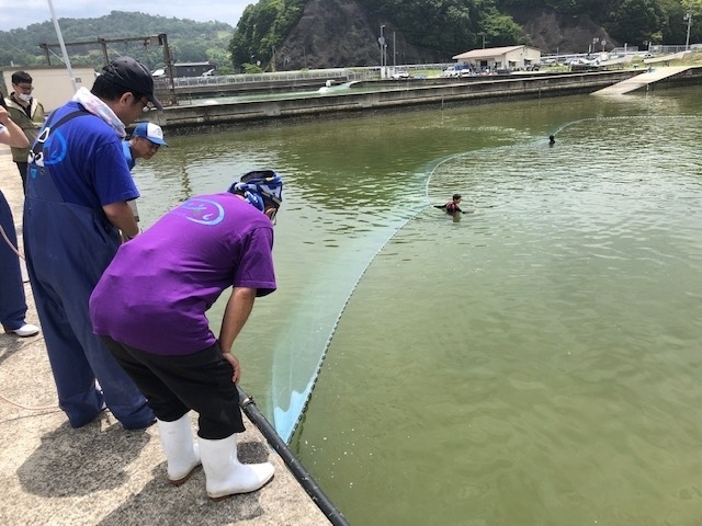 3水門へ追い込む.jpg