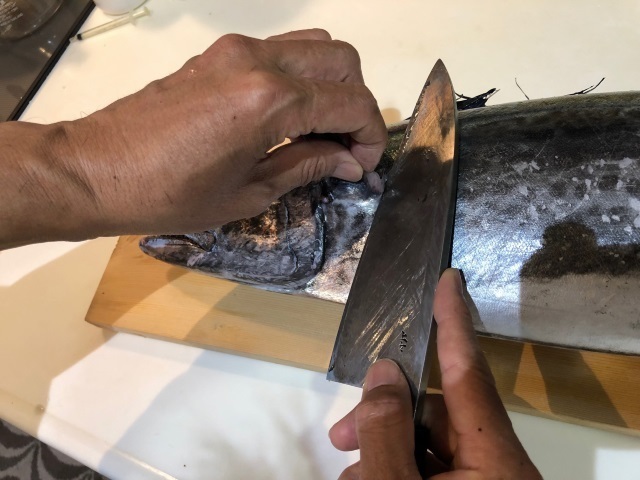 3胸ビレを切り落とす.jpg