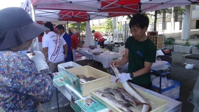 3_マイナー魚の展示.jpg