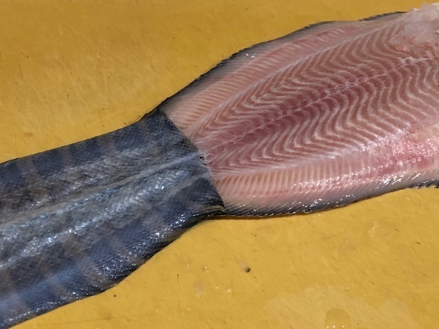 4シマウシノシタの皮をむく.jpg