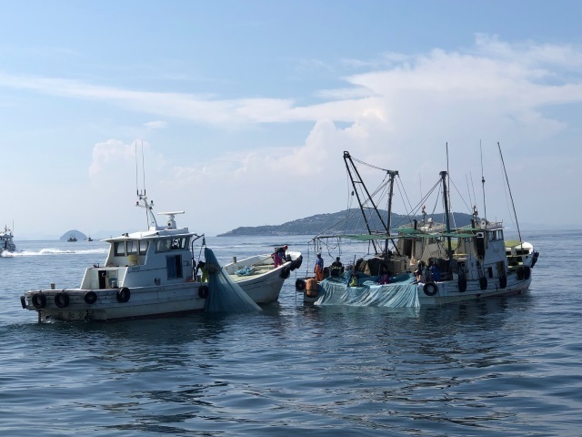 4瀬戸内海機船船びき網1.jpg