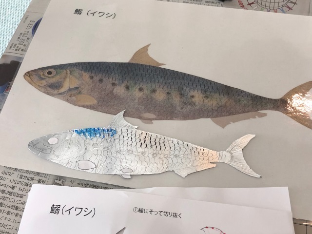 5なんちゃってマイワシjpg.jpg