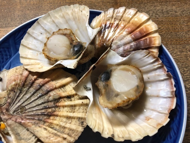 5イタヤガイ焼けた.jpg