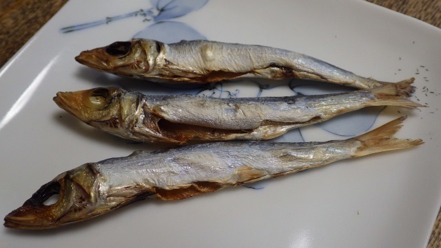 5ウルメイワシを焼く.jpg