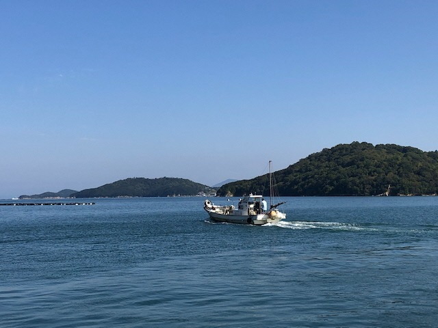 5キジハタ種苗直島へ向かう.jpg 圧縮.jpg