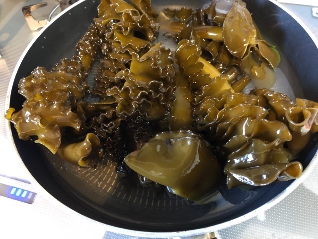 5ワカメを湯通し.jpg