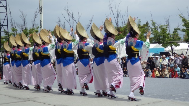 5四国の祭り.jpg