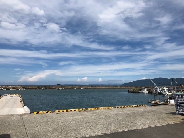 5引田漁港.jpg