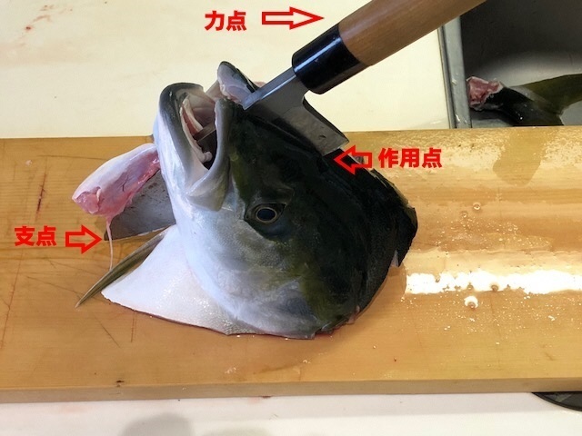 5支点力点作用点.jpg