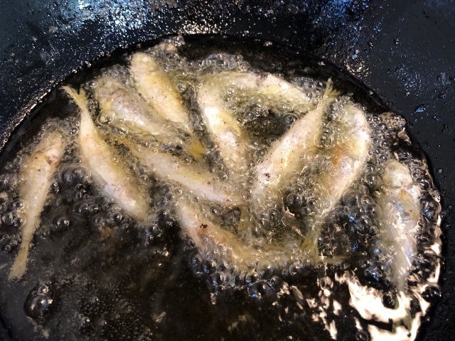 5豆アジ揚がる.jpg