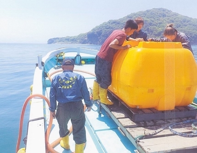 6トラフグ放流2.jpg