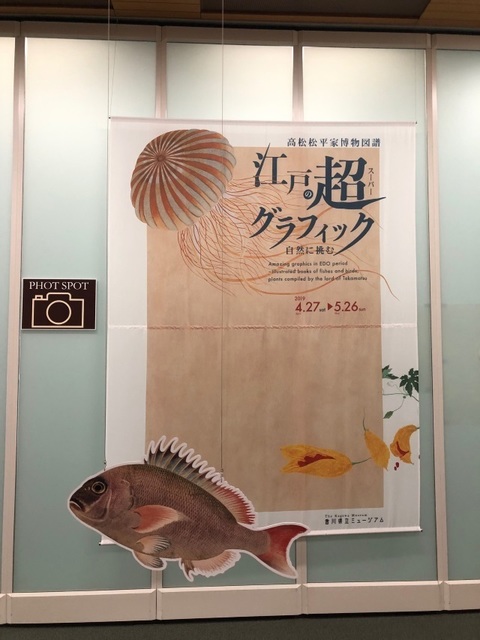 7記念撮影コーナー.jpg