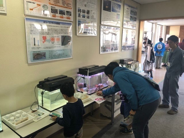 8おさか試験場の展示.jpg