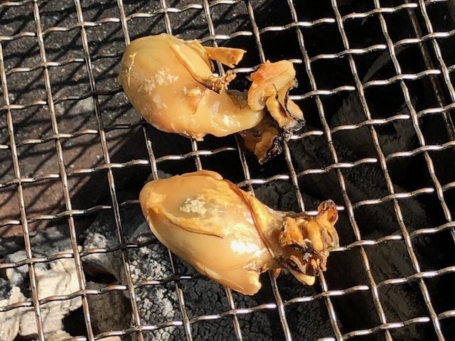 9つまみ食い.jpg