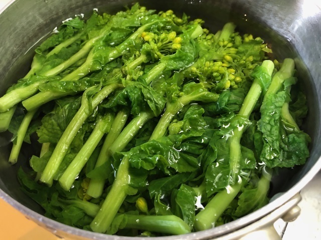 9菜花.jpg