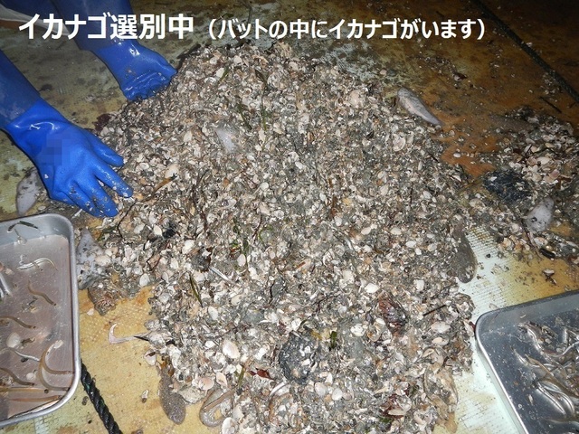 DSCN4069.jpg