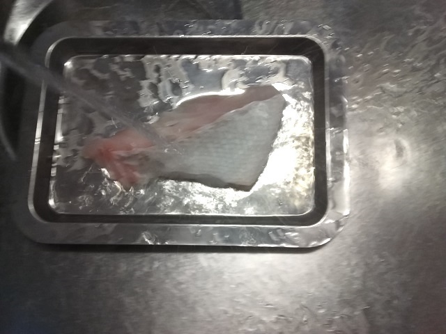 ②アラ湯ぶり.jpg