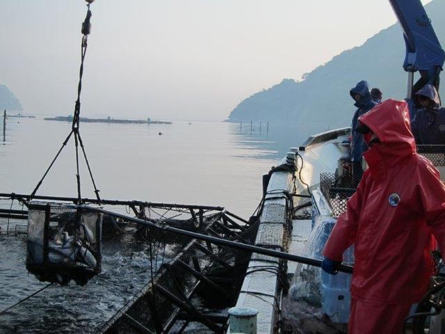 ②IMG_3934.jpg
