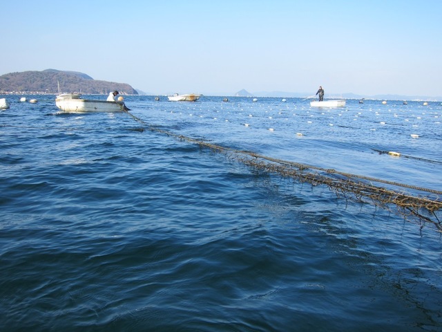 ⑦作業.jpg