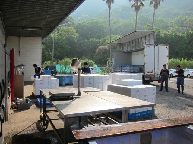 ⑦IMG_3976.jpg