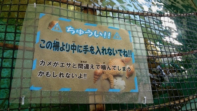 ⑭カメ注意.jpg