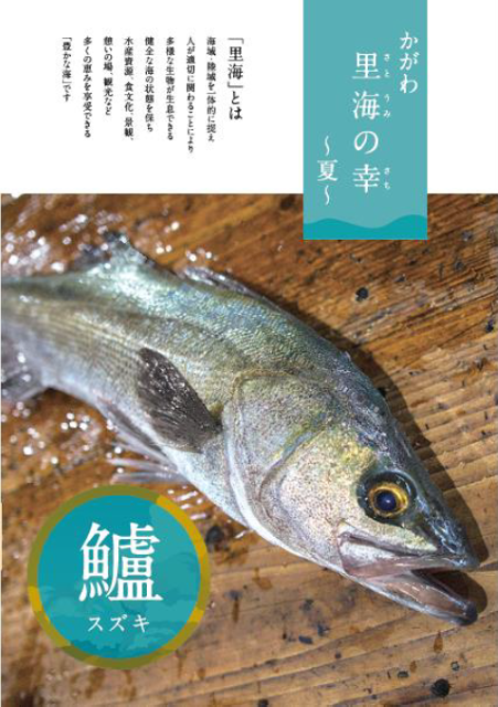 かがわ里海の幸~夏~.png