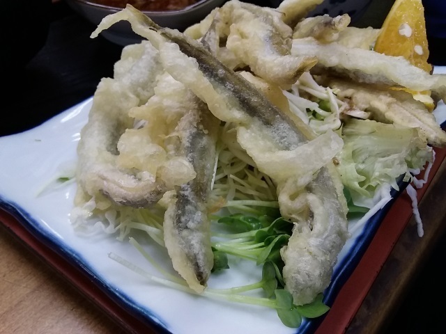 イカナゴアップ.jpg