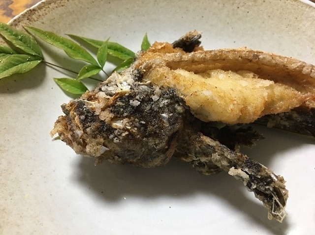 オニオコゼから揚げ.jpg