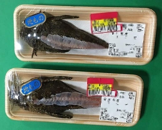 オニオコゼパック.jpg