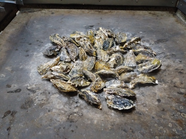 カキ焼き(牟礼).jpg