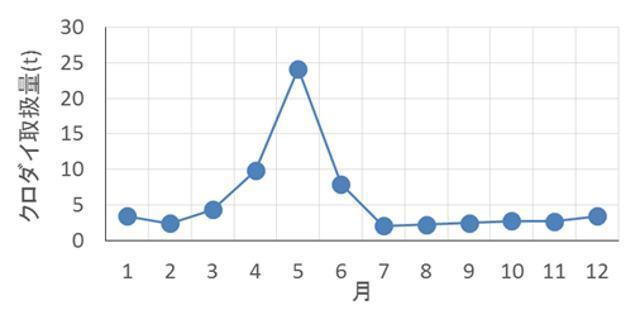 クロダイ取扱.jpg