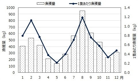シロギス漁獲量.jpg