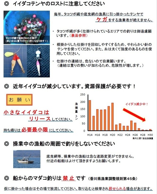 チラシ.jpg