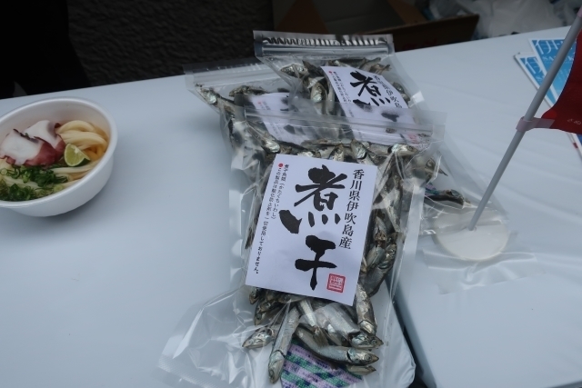伊吹いりこ.jpg