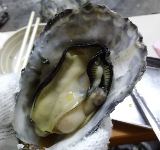 浜川5.jpg