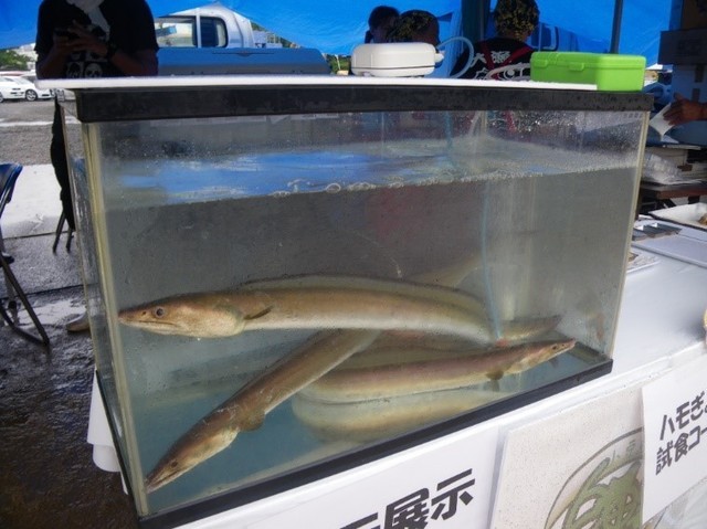 湯谷写真1.jpg