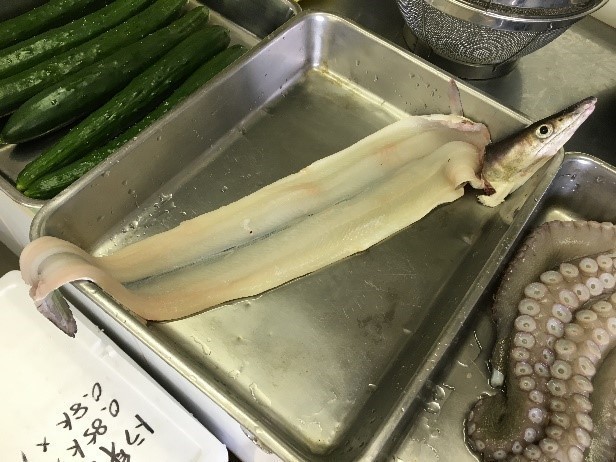 湯谷写真2.jpg