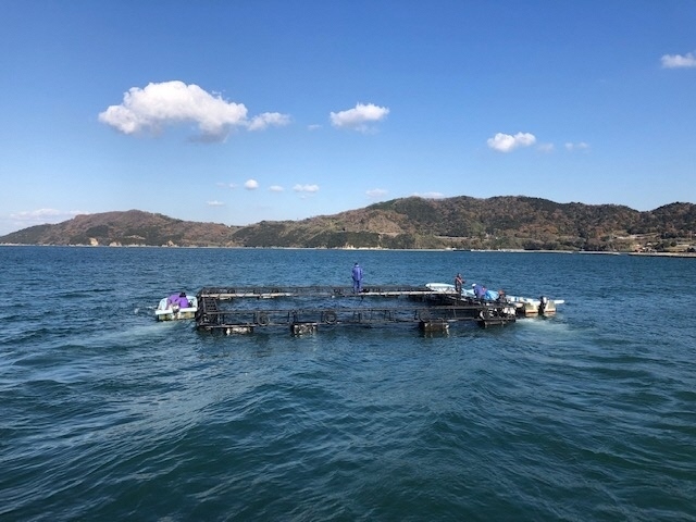 漁場へ.jpg