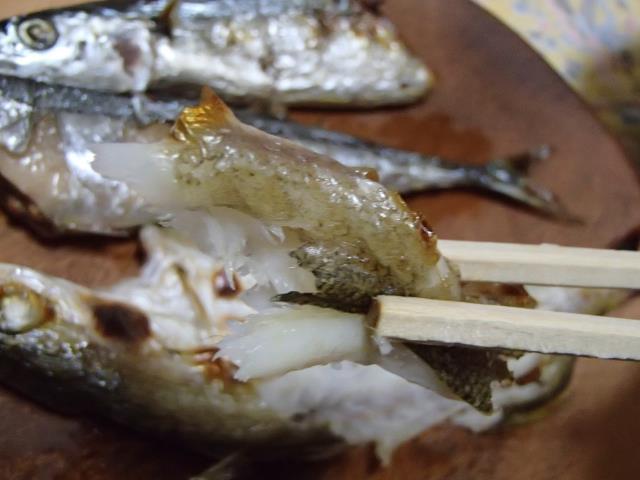 画像③-8.jpg