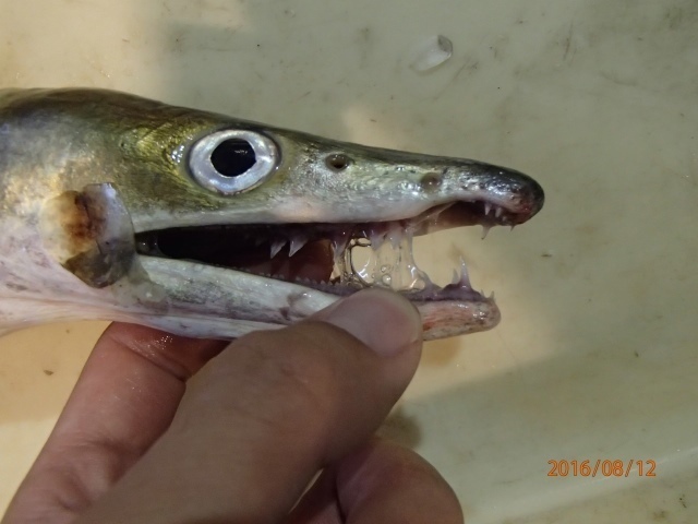 画像5.jpg