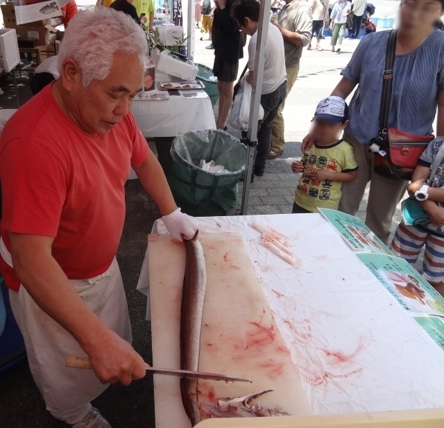 鱧捌き.jpg