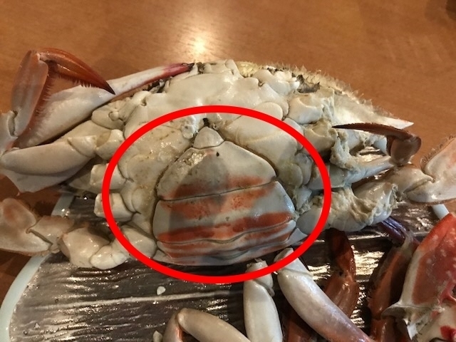 2_ふんどし.jpg